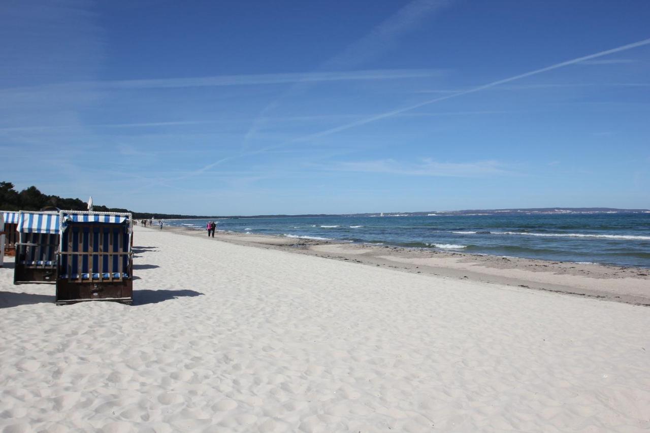 Seeadler Nr 602 Strandnah Mit Terrasse Und Meerblick *